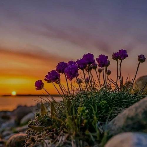  چطوری میتونم از آزادی بگم وقتی دل خودم حبس تو قفسه ی سینم